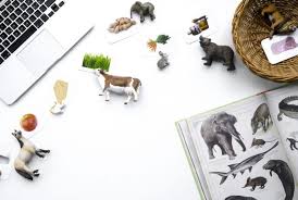 Druckvorlagen Was Tiere Fressen Chez Mama Poule Zuordnungsspiele Kinderzeit Druckvorlagen
