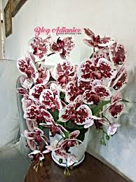 Simple arrangement for 3 stalks phalaenopsis. Dekorasi Ruang Tamu Gubahan Orkid Latex Penambah Seri Di Ruang Tamu