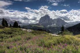 Vorsichtig wurde der baum auf den bereitstehenden tieflader gehoben. Apartment Haus Gabi Ferienwohnungen Mit Fruhstuck In Sudtirol Haus Gabi