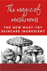 The Magic Of Mushrooms The New Must Try Skin Ingredient And Which Ones Are The Best Stuffed Mushrooms Diy Haircare Skin Care