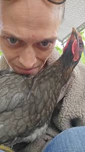 Are silver death layers a male and female pair?