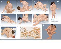 Sex position - Wikipedia