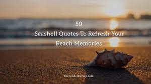 Shop wayfair for all the best 3 piece wall art. 50 Seashell Quotes To Refresh Your Beach Memories Etandoz