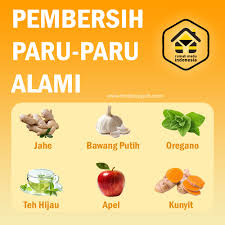 Zat aditif ini bila ditambahkan pada makanan dapat membantu untuk mengikat ion logam polivalen. Berbagi Resep Ustadz Dr Zaidul Akbar Pembersih Paru Paru Alami Facebook