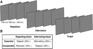 Prediction Error And Repetition Suppression Have Distinct Effects On Neural Representations Of Visual Information Biorxiv