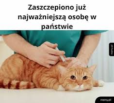 Jak ten pomysł ocenia medioznawca prof. Memy Z Kaczynskim I Morawieckim To Hit Internetu Premier I Prezes Pis Sa Bohaterami Kolejnych Memow Nowosci Dziennik Torunski