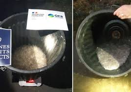 Ces alevins d'anguilles figurent sur la liste rouge des espèces en danger critique d'extinction. Saisie De 7 Kilogrammes De Civelles Vivantes Par Les Douaniers D Amiens Et L Office Francais De La Biodiversite