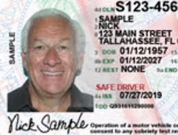 A Month to Celebrate Voter ID