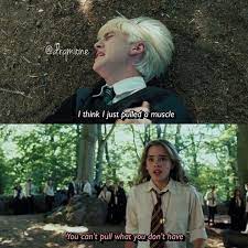 Characters like draco malfoy and harry potter himself seem to get the most attention especially when memes become a part of the equation. Harry Potter Memes Harry Potter Memes Harry Potter Jokes Harry Potter Scene