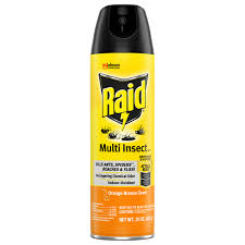 Is It Possible To Kill Spiders Using Ant And Roach Spray? - Quora