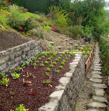 Pin On Landscaping