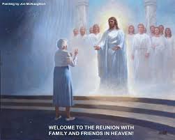 Image result for jesus from heaven pictures