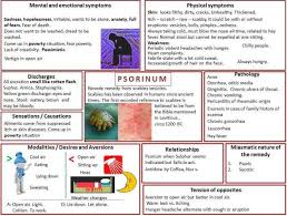 Psorinum Homeopathy Homeopathy Remedies Homeopathy Medicine