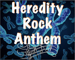 Maybe you would like to learn more about one of these? Heredity Rock Anthem Lyrics A Party Rock Song About Heredity Tpt