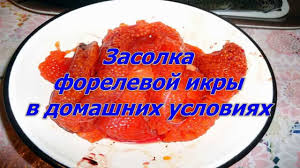 как засолить икру горбуши в домашних условиях вкусно и быстро Zasolka Forelevoj Ikry V Domashnih Usloviyah Youtube