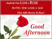 Image result for good afternoon love sms