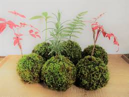 苔 玉 作り方 100 均