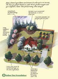 Benefits Of Trees Color Arbour Day Acreage Landscaping Backyard