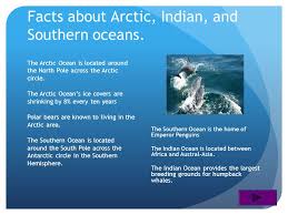 Check out ten chilly arctic facts here at national geographic kids! The Five Oceans By Christine Payne Ppt Download