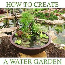 How To Create A Water Garden In A Container Proscape Container Water Gardens Water Garden Container Gardening