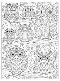 Owls On Branches Coloring Page By Thaneeya Owl Coloring Pages Coloring Books Pattern Coloring Pages