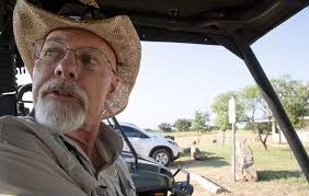 Dozens of threatened Texas horned lizards released