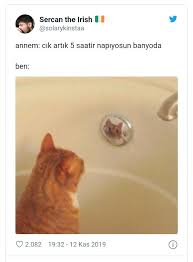 Ceyda Adli Kullanicinin Ahahasjkxndksmakamz ʘ ʘ Panosundaki Pin Komik Seyler Komik Komik Capsler
