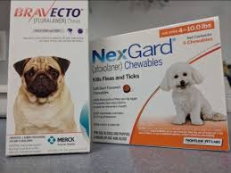 Is Nexgard Going To Kill My Dog Spoiler Alert No