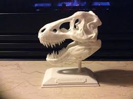 3d Printed T Rex Skull Prints 3d Printing Lion Sculpture