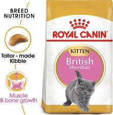 feline breed nutrition british shorthair kitten 2 kg