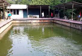 Joranpancing Kolam Norhamzah Port Terbaik Pancing Udang Galah Di Lembah Klang