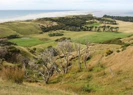 (ergebnis aus 22 bewertungen) bewertet von gästen nach ihrem aufenthalt in der unterkunft river view collingwood. Collingwood Neuseeland Tourismus In Collingwood Tripadvisor