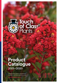 Maybe you would like to learn more about one of these? Plants Seeds Bulbs 100 Cherry Laurel Fast Growing Evergreen Hedging Plants 25 30cm In Pots Garden Patio Fischkom At