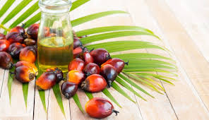 Crude palm oil jun '21 (cum21). Market Info Thin Oil Products