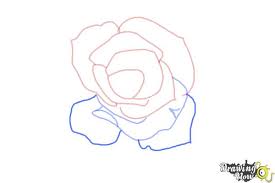 How To Draw An Open Rose Drawingnow All images provided by i 365 art. how to draw an open rose drawingnow