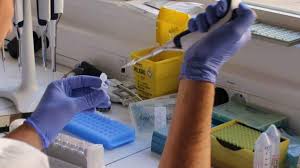 En este artículo vamos a explicar qué es un virus, cuáles son los 10 tipos más conocidos y cuál es la clasificación principal que se utiliza para categorizarlos. Sintomas De La Fiebre Hemorragica Que Es Como Detectarla Y Tratamiento