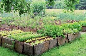 Wood is perfect for creating a traditional aesthetic in a backyard or side yard. Diy Raised Beds In The Vegetable Garden Ideas And Materials