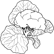 As of today we have 80,066,506 ebooks for you to download for free. Vegetable Coloring Pages Best Coloring Pages For Kids