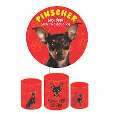 Kits Capa de Painel Redondo e Cilindro Festa Pets Cachorro Salsicha Vira-la  Caramelo Pug Golden Decoração Vários Modelos