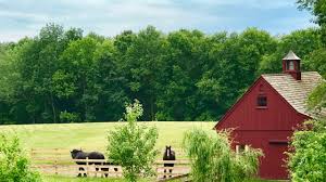 Greenbrook, brook lane, rush, co. Eight Farmhouses On Airbnb That Will Make You Want To Abandon City Life Architectural Digest