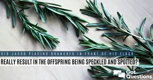 Subscribe to my free weekly newsletter — you'll be the first to know when i add search coloring pages. Did Jacob Placing Branches In Front Of His Flock Really Result In The Offspring Being Speckled And Spotted Gotquestions Org