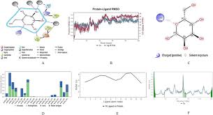 Image result for Multidentia sp. A