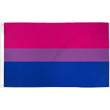 Bi Pride Flag Bisexual Banner Gay Lesbian LGBT 3x5 Rainbow Festival Pennant