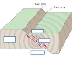 We think this is the most useful anatomy picture that you need. Earthquake Diagram Diagram Quizlet