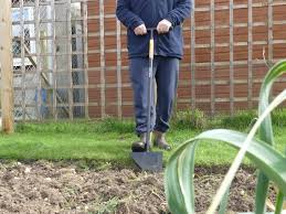 You can find articles related to best edging tool for lawn by scrolling to the end of our site to see the. Edging Tools Kitchen Garden