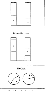 An Information Processing Analysis Of Graph Perception