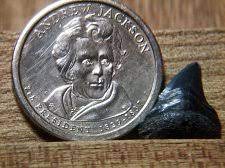 Andrew jackson dollar coin value 1829. 2008 P Presidential Dollar Andrew Jackson Golden Dollar Coin Value Prices Photos Info