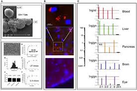 As an infected white blood cell crosses the bbb, the microorganism also gains access to the cns. Trojan Horse List Of Frontiers Open Access Articles