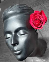 A lady with a rose Series continue