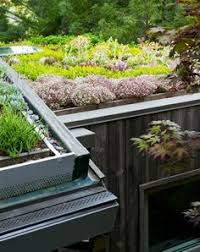 Grunes Dach Gute Isolierung Und Nachhaltigkeit Flachdach Begrunung Gartengebaude Dachgarten